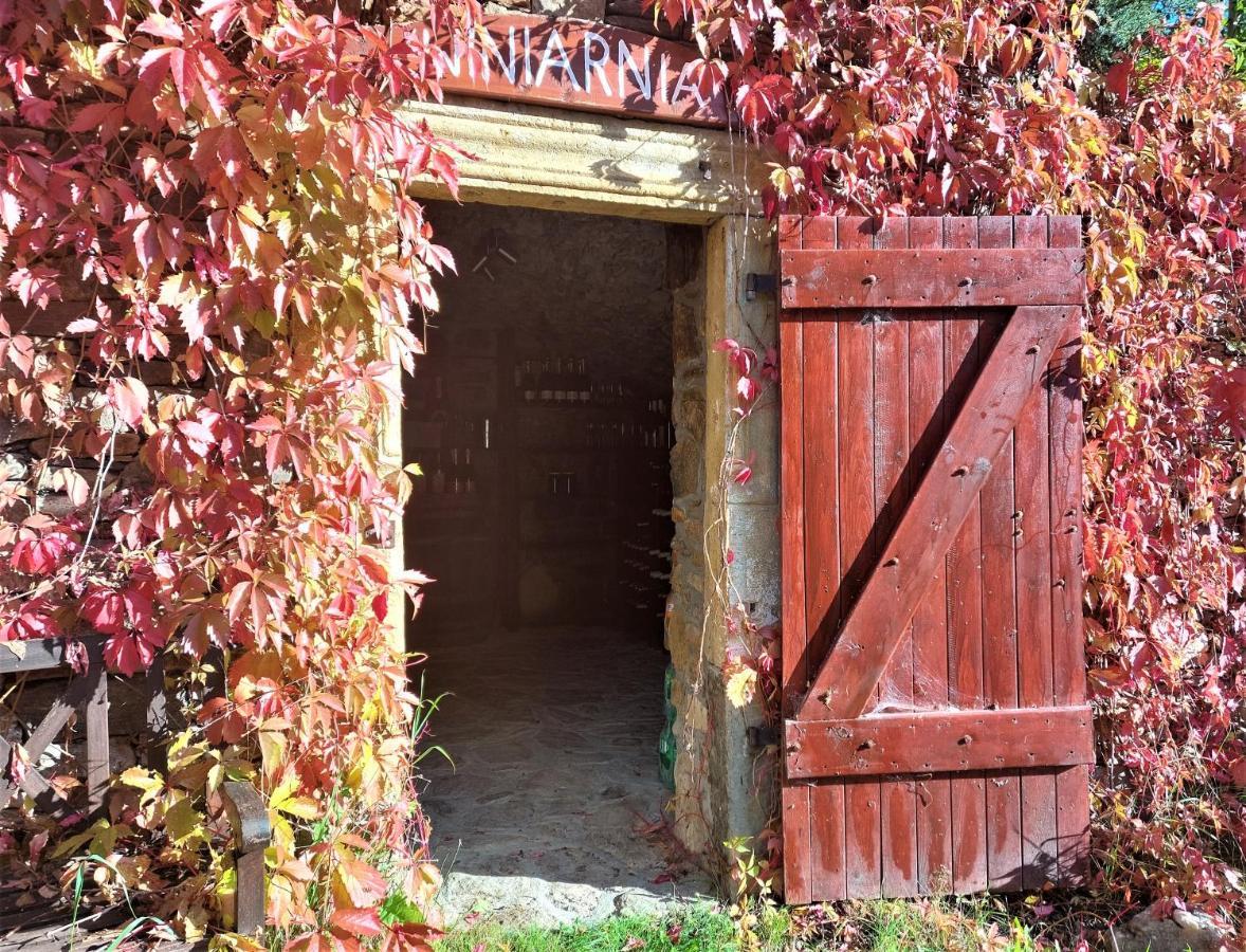 Winny Domek W Radochowie Lądek-Zdrój Exterior foto